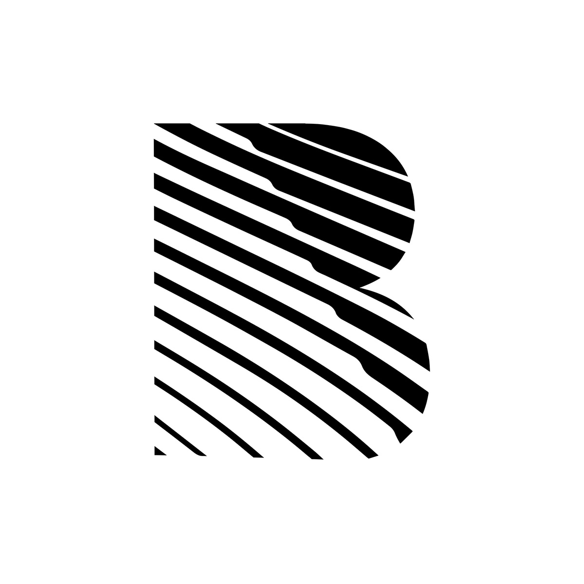 ООО "БЛЭК РЭЙС"